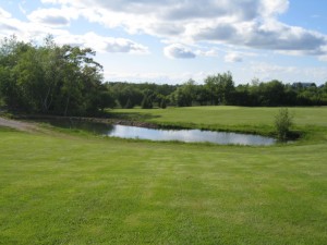 Golf course Improvements larger pond Hole # 8